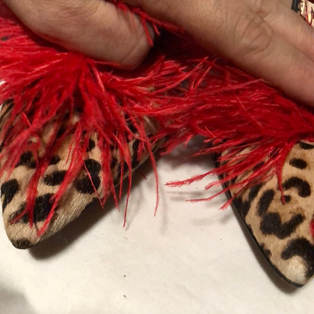 Sam Edelman - Picture 9 of 10